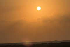 0408F5D0-3C9C-4FF6-8289-52C1EE4908F6