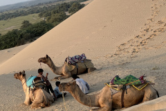 B441E3BF-E868-496B-B0CA-A7E58D805B47